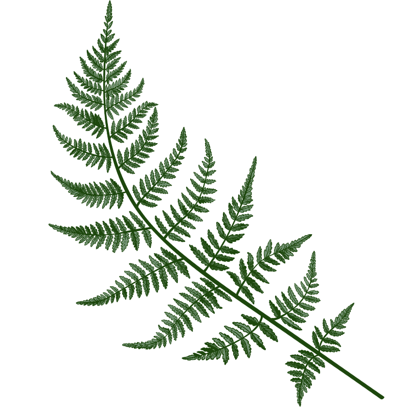 Uważność na dobrostan Beata Kuczmarska - Gołda