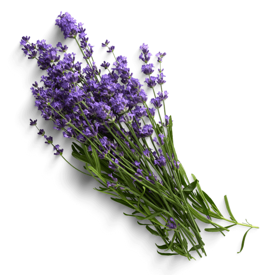 Uważność na dobrostan Beata Kuczmarska - Gołda Aromaterapia