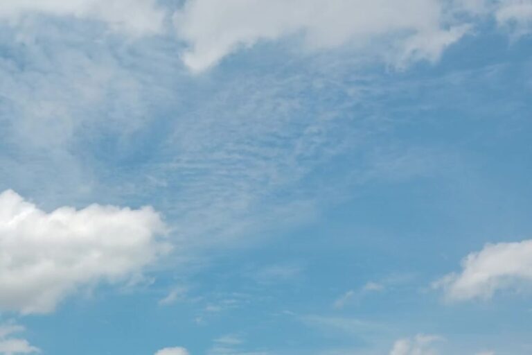 Aromaterapia a emocje – jak zapachy wpływają na nasz nastrój?